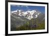 Arnica Montana And Mont Blanc-Bob Gibbons-Framed Photographic Print