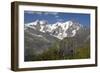 Arnica Montana And Mont Blanc-Bob Gibbons-Framed Photographic Print