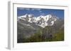 Arnica Montana And Mont Blanc-Bob Gibbons-Framed Photographic Print