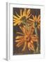 Arnica Montana-null-Framed Art Print