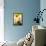 Arnica-Ursula Abresch-Framed Stretched Canvas displayed on a wall