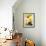 Arnica-Ursula Abresch-Framed Photographic Print displayed on a wall