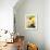 Arnica-Ursula Abresch-Framed Photographic Print displayed on a wall