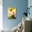 Arnica-Ursula Abresch-Photographic Print displayed on a wall