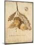 Wood Mount
