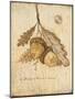 Wood Mount