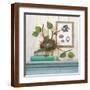 Brown Frame