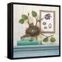 Canvas Black