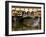 Arno River and Ponte Vecchio, Florence, UNESCO World Heritage Site, Tuscany, Italy, Europe-Richard Cummins-Framed Photographic Print