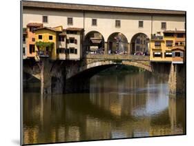 Arno River and Ponte Vecchio, Florence, UNESCO World Heritage Site, Tuscany, Italy, Europe-Richard Cummins-Mounted Photographic Print