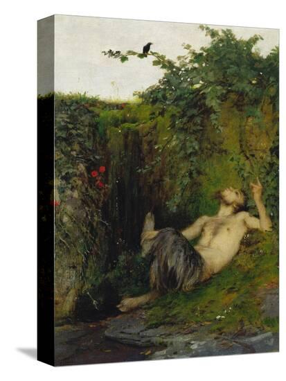Stretched Canvas Print, , large