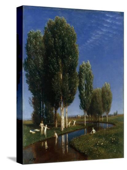 Stretched Canvas Print, , large