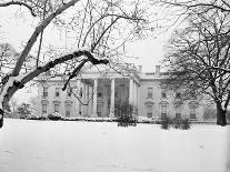 Snow Covering the White House Lawn-Arnold Sachs-Photographic Print