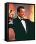 Arnold Schwarzenegger-null-Framed Stretched Canvas