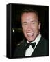 Arnold Schwarzenegger-null-Framed Stretched Canvas