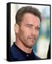 Arnold Schwarzenegger-null-Framed Stretched Canvas