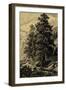 Arolla Pine-Ernst Heyn-Framed Art Print