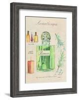 Aromatherapie, Romarin-Laurence David-Framed Art Print