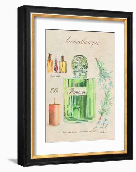 Aromatherapie, Romarin-Laurence David-Framed Art Print