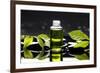 Aromatherapy-crystalfoto-Framed Photographic Print