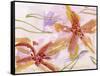 Aromatic Flowers II-Melissa Wang-Framed Stretched Canvas