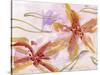 Aromatic Flowers II-Melissa Wang-Stretched Canvas