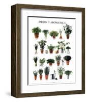 Aromatic Garden-null-Framed Art Print