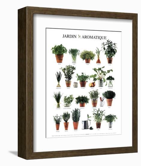 Aromatic Garden-null-Framed Art Print