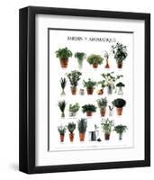 Aromatic Garden-null-Framed Art Print