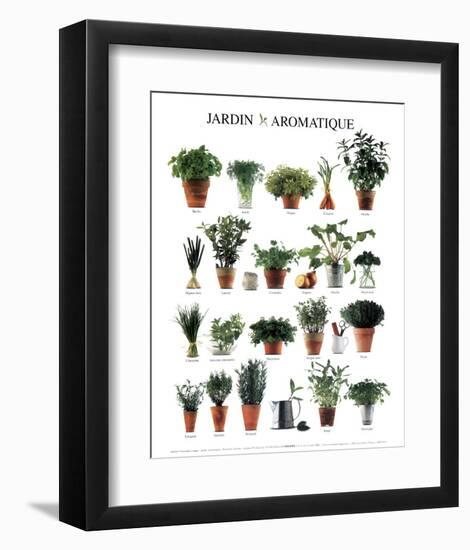 Aromatic Garden-null-Framed Art Print