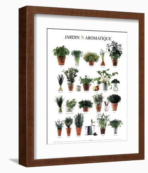 Aromatic Garden-null-Framed Art Print