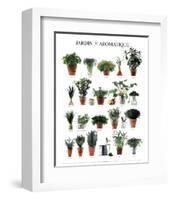 Aromatic Garden-null-Framed Art Print