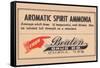 Aromatic Spirit Ammonia-null-Framed Stretched Canvas