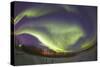 Arora Borealis, Northern Lights-null-Stretched Canvas