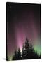 Arora Borealis, Northern Lights-null-Stretched Canvas