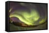 Arora Borealis, Northern Lights-null-Framed Stretched Canvas