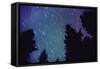 Arora Borealis, Northern Lights-null-Framed Stretched Canvas