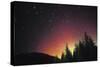 Arora Borealis, Northern Lights-null-Stretched Canvas