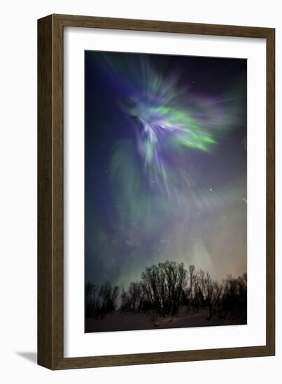 Arora Borealis, Northern Lights-null-Framed Photographic Print