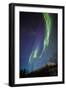 Arora Borealis, Northern Lights-null-Framed Photographic Print