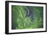 Arora Borealis, Northern Lights-null-Framed Photographic Print