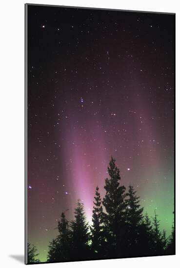 Arora Borealis, Northern Lights-null-Mounted Photographic Print