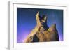 Arora Borealis, Northern Lights-null-Framed Photographic Print