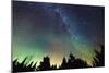 Arora Borealis, Northern Lights-null-Mounted Photographic Print