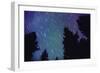 Arora Borealis, Northern Lights-null-Framed Photographic Print