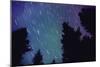 Arora Borealis, Northern Lights-null-Mounted Photographic Print