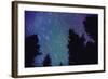 Arora Borealis, Northern Lights-null-Framed Photographic Print