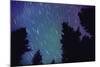 Arora Borealis, Northern Lights-null-Mounted Photographic Print