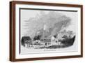 Brown Frame