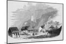 Wood Mount